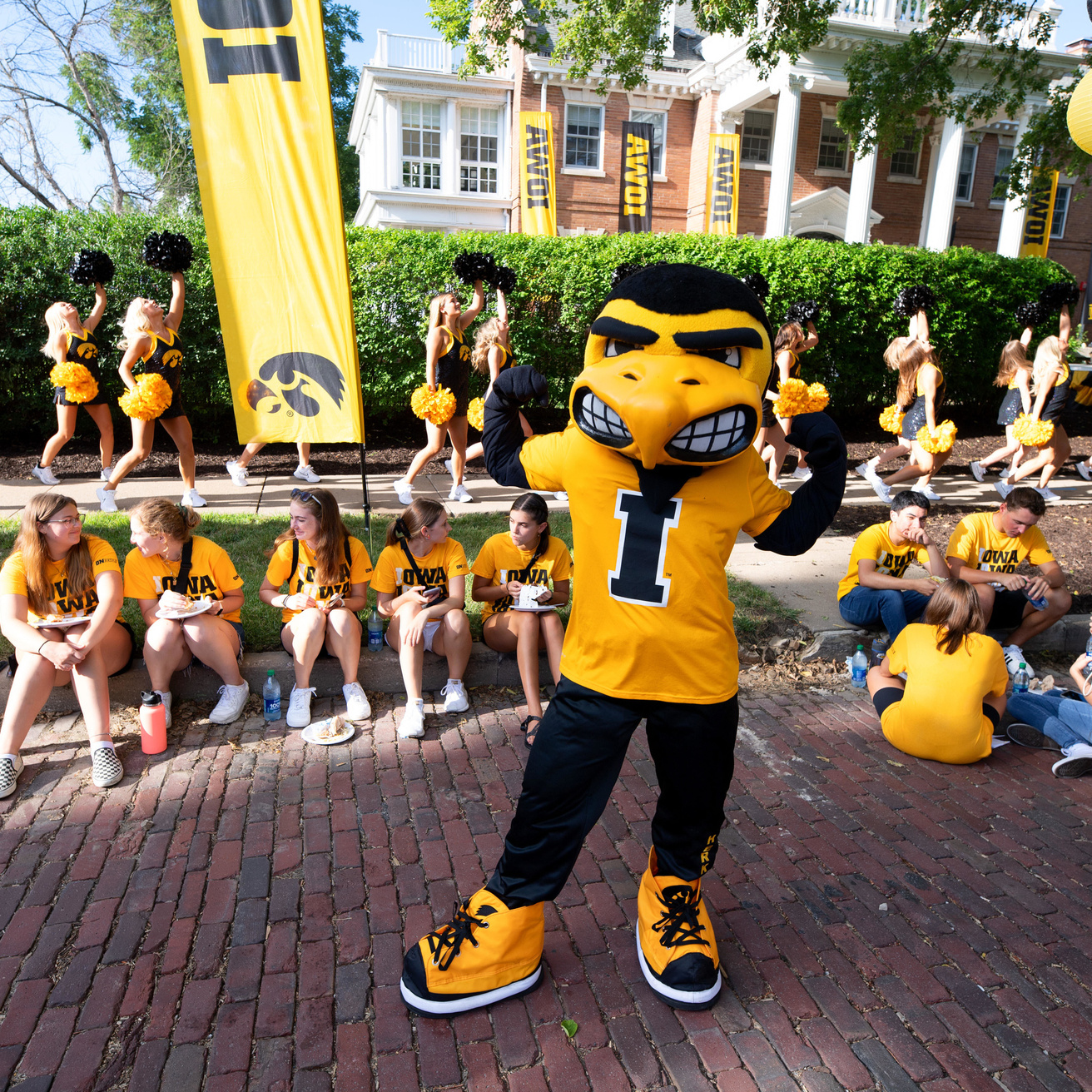 Herky at the President's block party